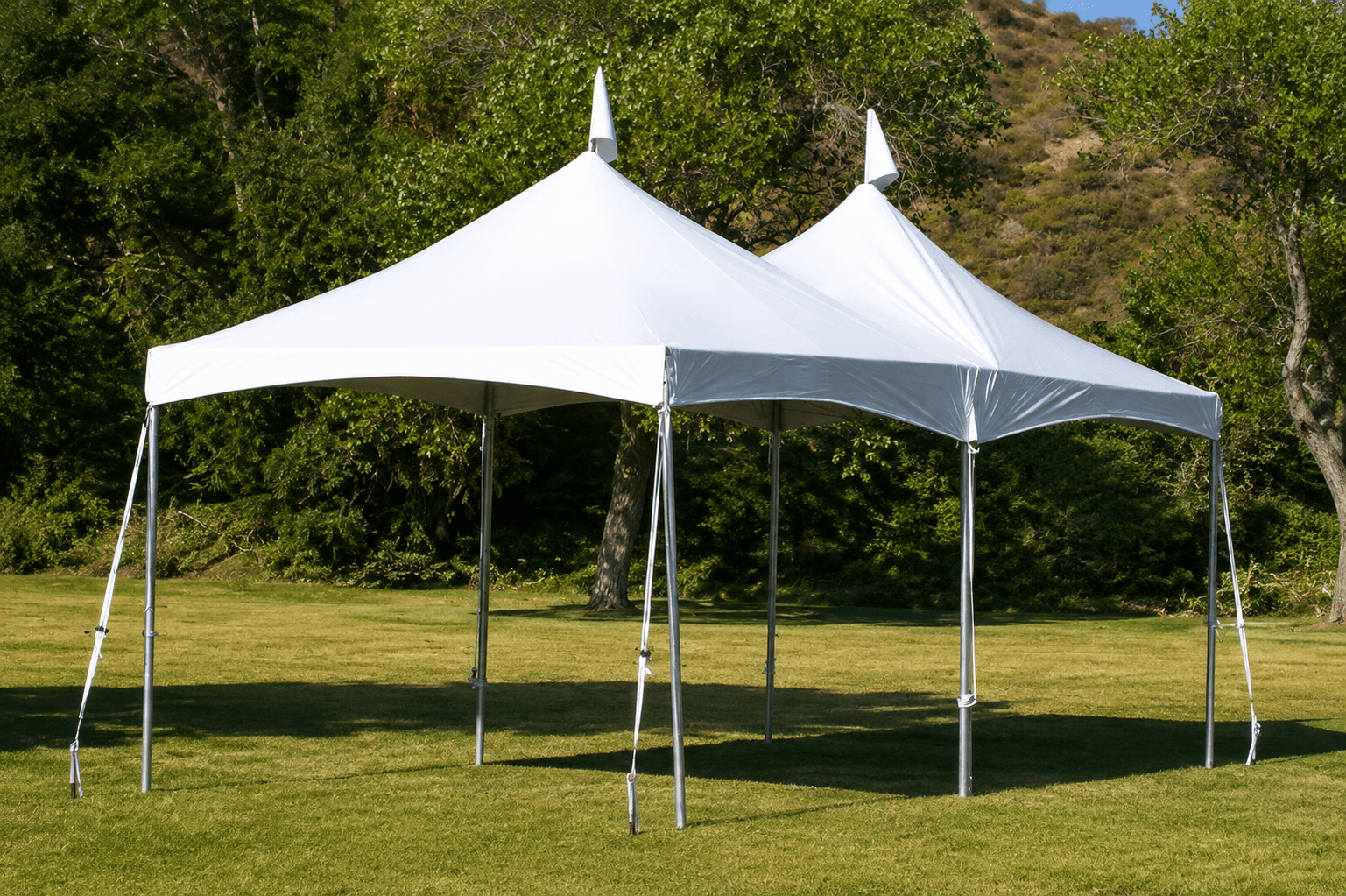 Festival Tents