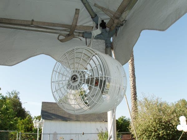 Canopy Fan