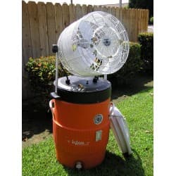Mister Fan