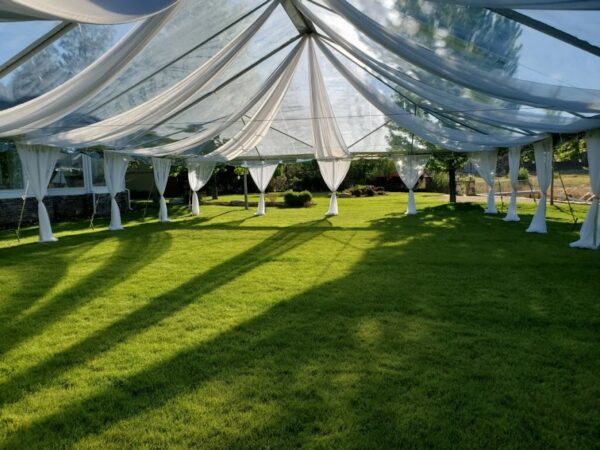 Clear Top Tent with Draping